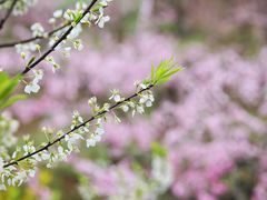 -观清澜疗愈民宿(龙泉山风景区店)