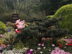 -西湖外事游船(花港观鱼码头)