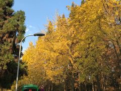 -四川大学(望江校区)