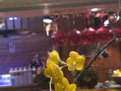 -悦橙烤肉海鲜自助(中央大街店)