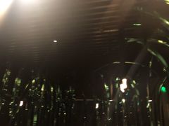 -凤园椰珍·臻品椰子鸡(保利时光里店)