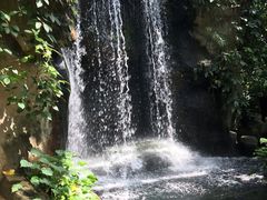 -南山植物园
