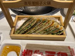-浩爷羊蝎子火锅(望京店)