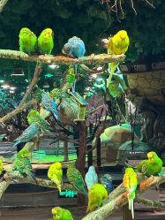 -酷嗒动物文化乐园(cutezoo西溪乐天城店)