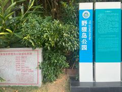 -野狸岛