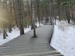 -帽儿山国家森林公园