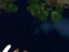 -上海虹桥西郊庄园丽笙大酒店