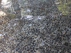 iphone_upload_pic-金方森林温泉