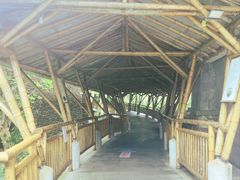 -海口观澜湖火山温泉谷