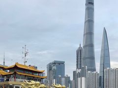 -新龙船黄浦江餐饮游船官方自营店