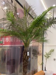 -松源造型