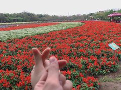 -丹樱生态园