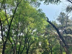 -沈阳辉山风景区