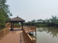 -大湾区中央湿地公园