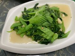 -梅子大排档