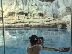 -帝企鹅自助餐厅•儿童岛•真企鹅(长隆企鹅酒店)