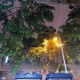 【武汉】——每天不一样🌸（下）