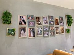 -藏猫猫咖啡主题馆(中央大道店)