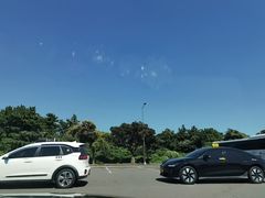 -柱状节理带