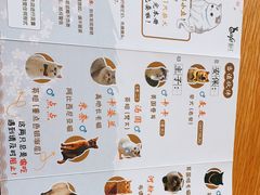 -猫小主咖啡·猫咖cat cafe(福田店)
