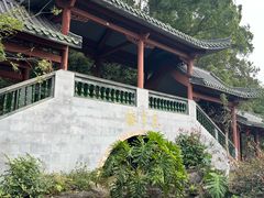 -广州神农草堂中医药博物馆