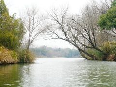 -西溪国家湿地公园