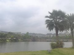 -枫香湖儿童公园