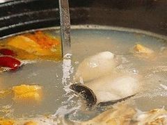 -濠轩阁特色生蚝火锅(水湾路店)