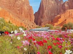 -天山神秘大峡谷