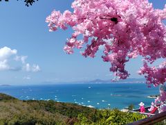 -鹿回头风景区
