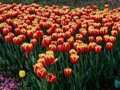 -玄武湖景区-情侣园游乐场