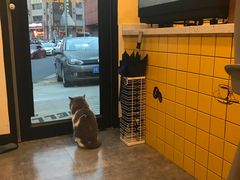 -22cafe