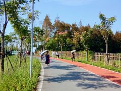 -上海长兴岛郊野公园