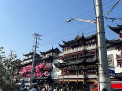 -老城隍庙食品商店(豫园商城店)