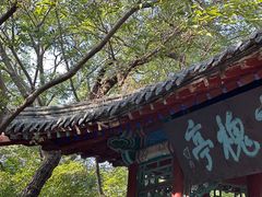 -千佛山风景名胜区
