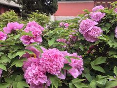 -大钟寺古钟博物馆