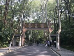 门面-灵谷景区