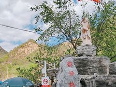 -大岭沟猕猴桃谷风景区
