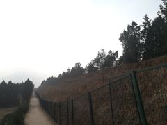 -秦始皇帝陵博物院-丽山园