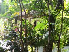 -碧桂园润杨溪谷温泉酒店