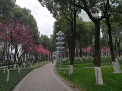 -重庆市江北嘴中央商务区中央公园