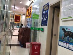 -瑞鹏宠物医院·微创内窥镜·骨外科·牙科(翠竹分院)
