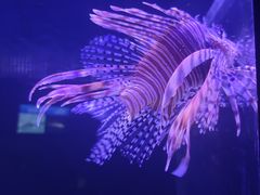 -厦门海底世界