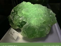 -湖南省地质博物馆