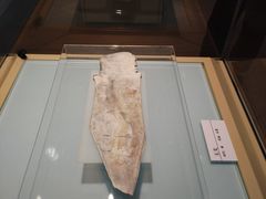 -安阳博物馆