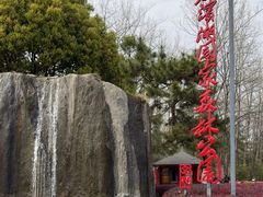 -合肥滨湖国家森林公园