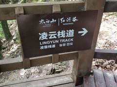 景点-陕西省红河谷森林公园