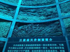 -中国西峡恐龙遗迹园