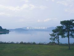 -千岛湖石林