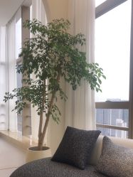 -JNK皮肤管理中心